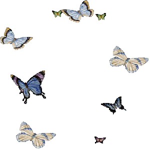 butterflies.gif
